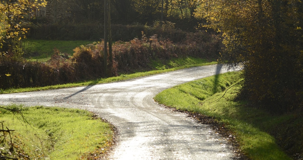 A dirt road forking into two paths across open countryside, standing in for this week's run of either/or engineering calls — which decoding variant, which model to route to, which serving layout to run in production